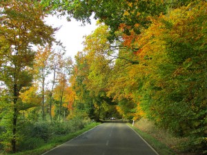 Driving through the forest, an unending series of postcard moments of fall foliage